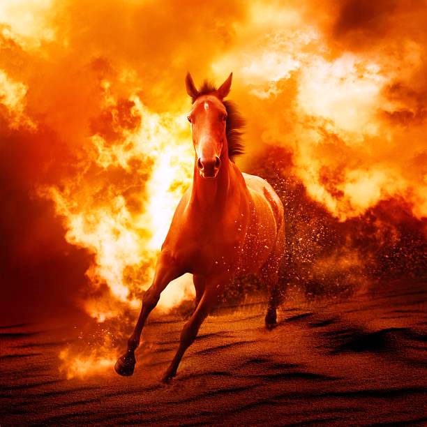 Running horse in fire. Digitaly generated image from 3 my images.