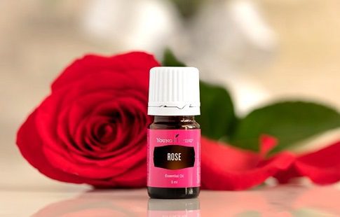693c9919cd1c6_5YLEO